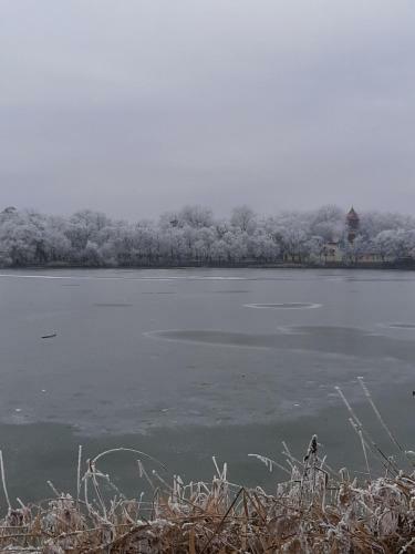 Levendula Apartman Ny�regyh�za