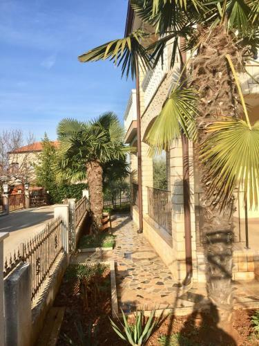 Apartments Marinela