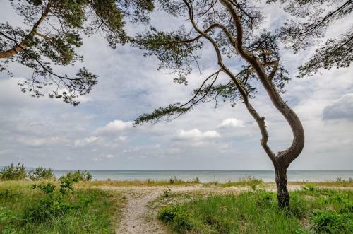 Apartamento Fewo Prora - Luft Und Loft