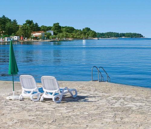 Apartment In Porec/istrien 31168