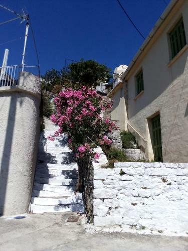 Pantheon Holiday House