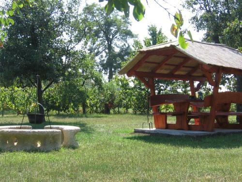 Apartamento Man� Vend�gh�z