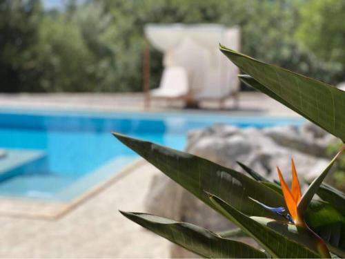 Villa Kalamitsi Amigdali Home With A Stunning View