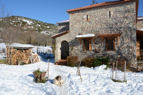 Villa Country Stone House ,next To Kalavrita