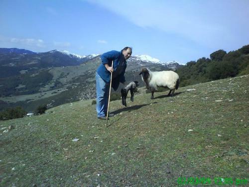 Luxury Chalet Vila On Mountain Top With Great View