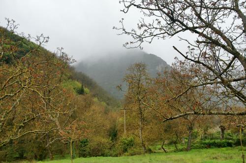 Chalet Coquelicot (co-cli-co) Relax In Nature