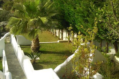 Whole House Near The Beach With Amazing View