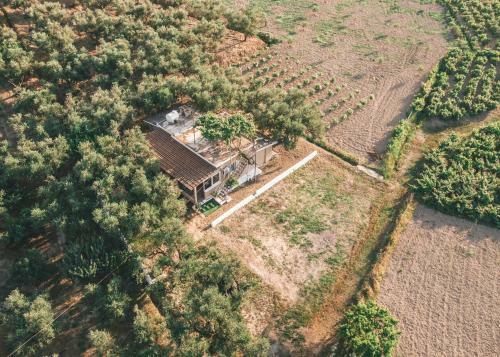 Agroturismo The Mills House