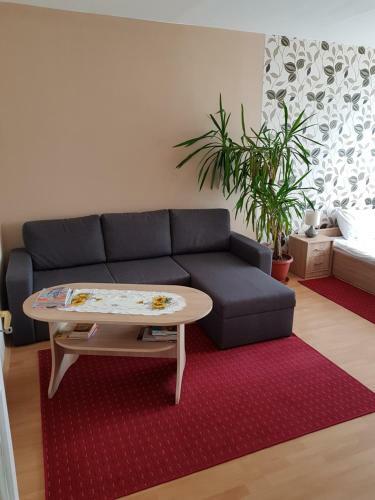 Coral Apartman