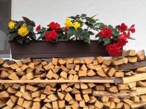 Apartamento Appartements Basti