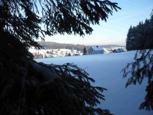 Hotel H�hengasthof L�wen - Escheck