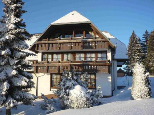 Hotel H�hengasthof L�wen - Escheck