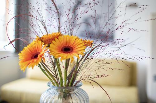 Apartamentos Appartements Sunshine