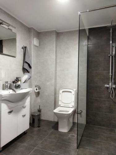 Grey Sense Luxury Apartment