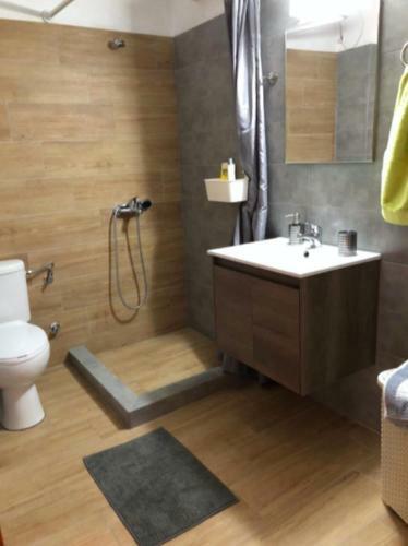 Apartamento Meteora Family House