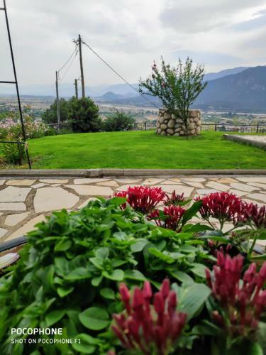 Olio Hills Apartment