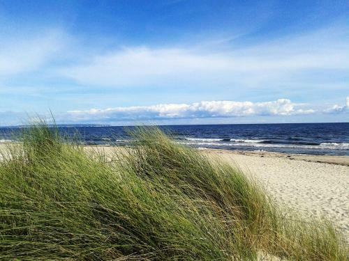 Apartamento Blinkf�er Am Kap Arkona