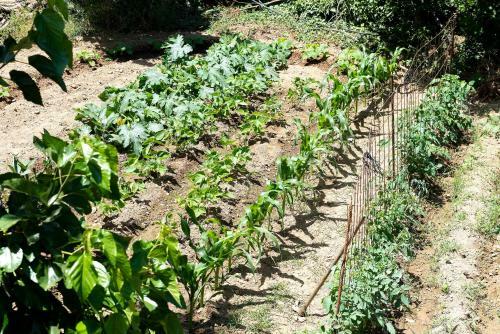 Zoi's House Luxurious Vacation