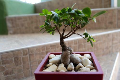 Zoi's House Luxurious Vacation