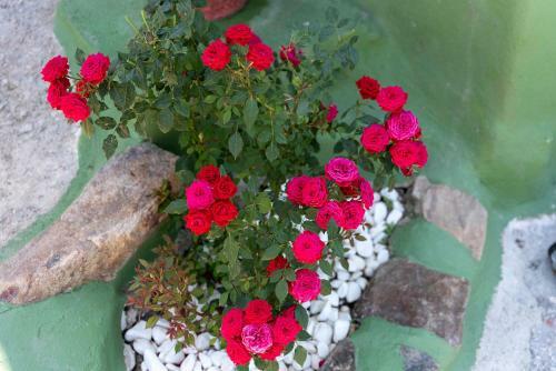 Zoi's House Luxurious Vacation