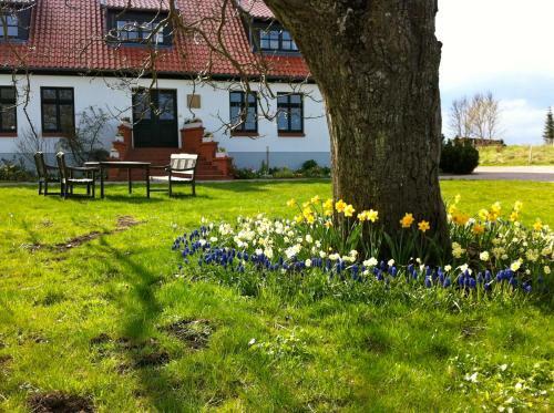 Hostal Gutshaus Ketelshagen