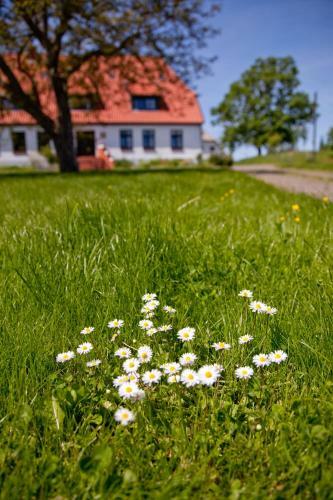 Hostal Gutshaus Ketelshagen