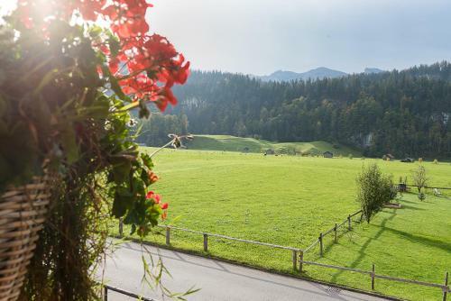 Apartamento G�stehaus Graf