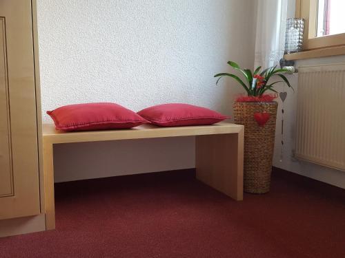 Apartamento Appartements G�stehaus Monika