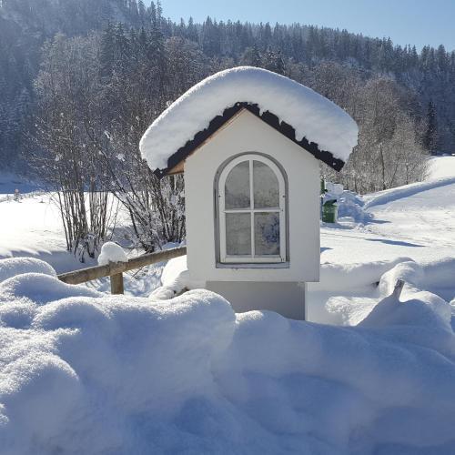 Apartamento Appartements G�stehaus Monika