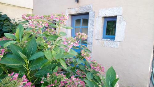 Apartamento Ferienhaus Nicolaus