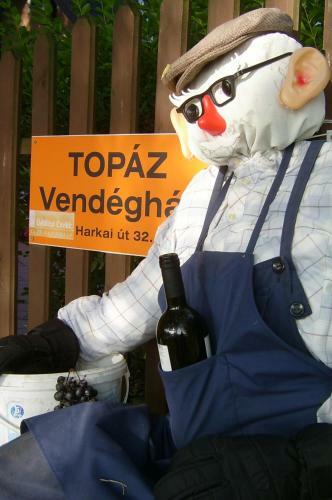 Apartamento Top�z Vend�gh�z