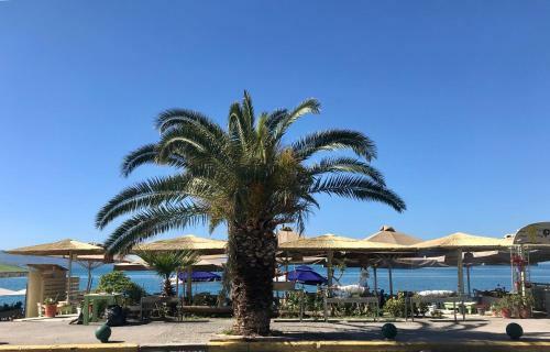 Apartamento Balsam Suite - 50m To The Beach