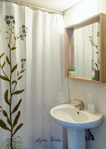 Apartamento Superior Giatrakos