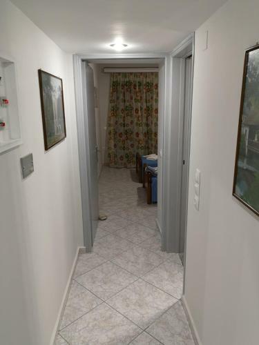 Panos & Antzy Apartments