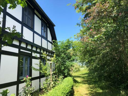 Apartamento Am Achterwasser Dorf 12