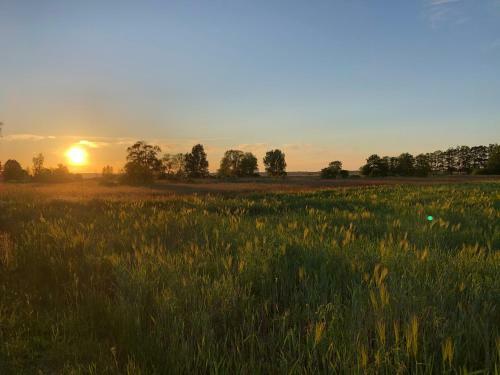 Apartamento Am Achterwasser Dorf 12