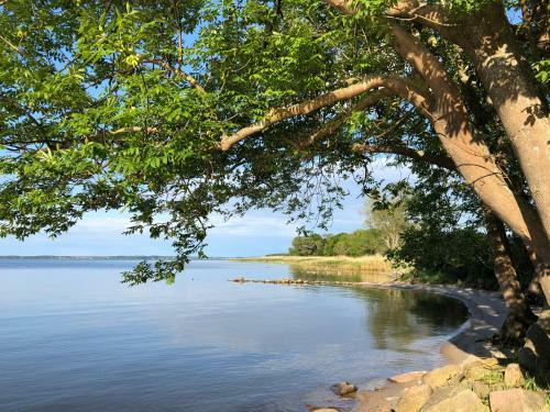 Apartamento Am Achterwasser Dorf 12