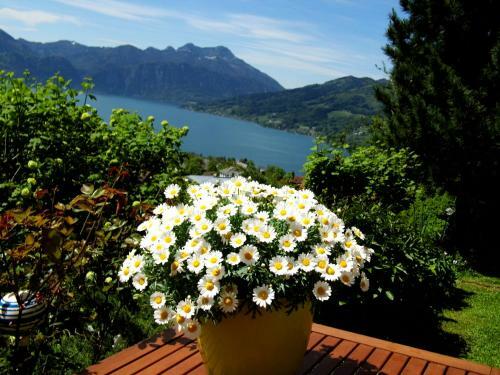 Agroturismo Biohof Schwanser