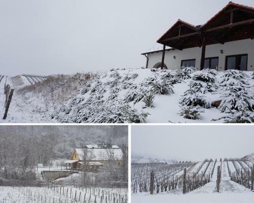 Bed & Breakfast Attila Birtok