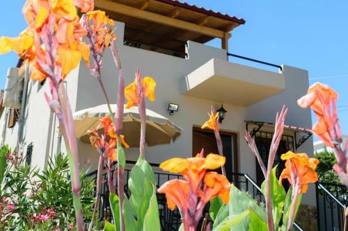 Casa Vasilia Traditional Home