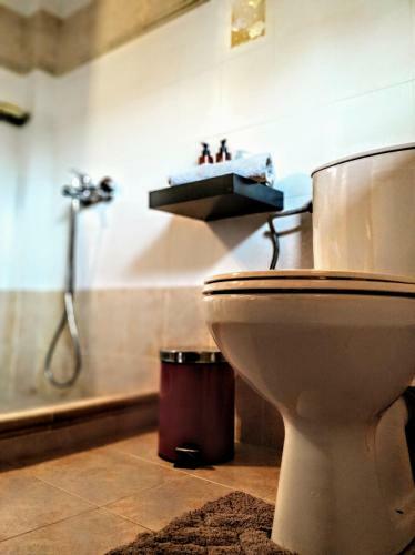 Apartamento Olive House Karpathos (1)