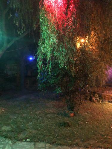 �rk�d Apartmanh�z Szeged
