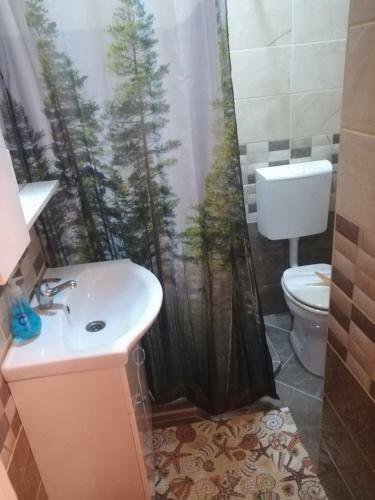 R�kusi Apartman Szeged