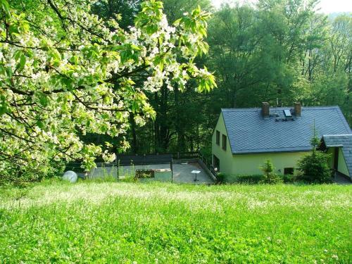 Ferienhaus-elisabeth Bungalow-tom Bungalow-peter