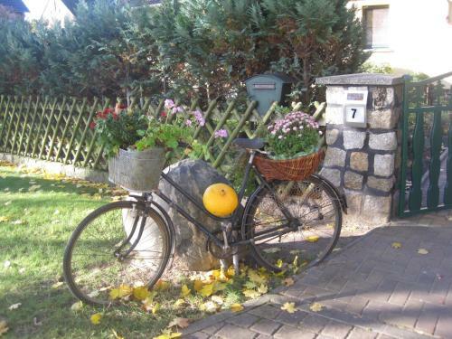 Apartamento Pension Zum Wei�en Hirsch