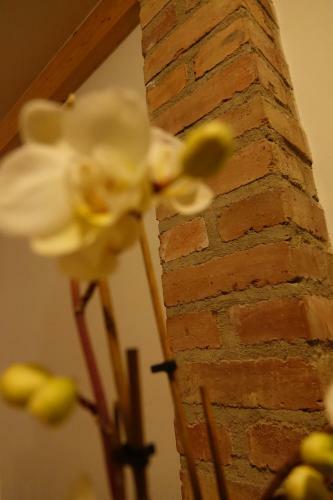 Apartamento Hirt's Brau-& Gasthof