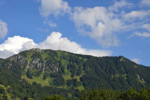 Apartamento Ferienwohnung Gr�ntenblick