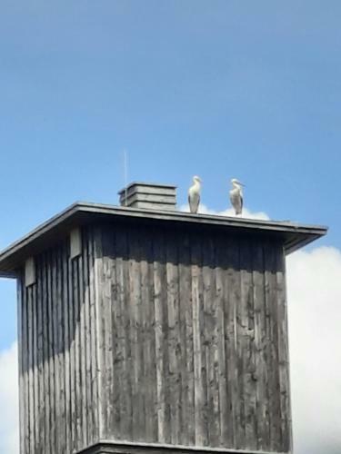 Apartamento Ferienwohnung Am Schloss