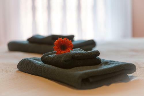 Apartamento Holiday House Si�fok