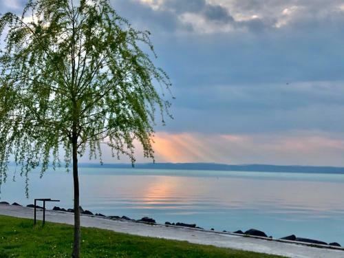 Si�foki V�zparti Nyaral� - Lake Side Apartman